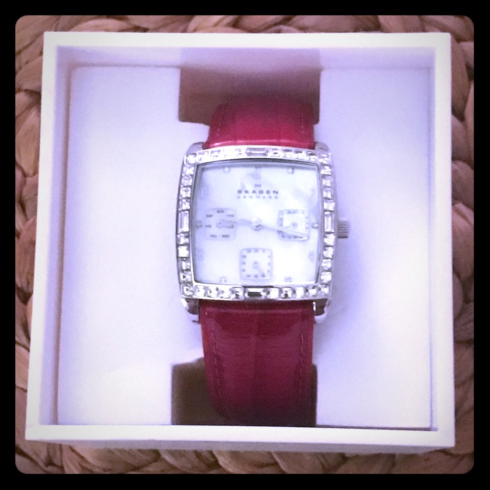 SKAGEN QUARTZ STAINLESS WOMEN’S WATCH
